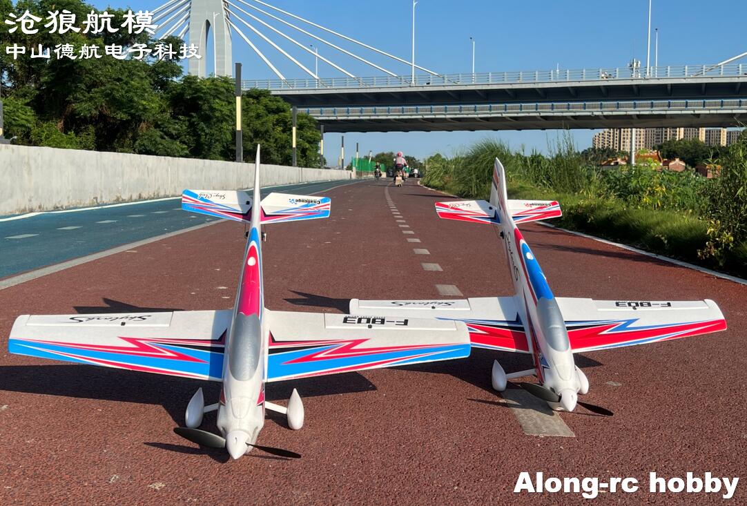 F803  F3A Skylarks 1000mm Wing - Rc Hobby Grade Plane 리뷰 및 가격