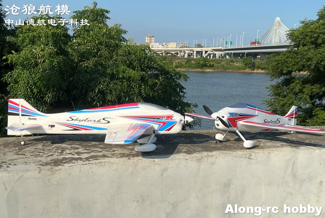 F803  F3A Skylarks 1000mm Wing - Rc Hobby Grade Plane 리뷰 및 가격
