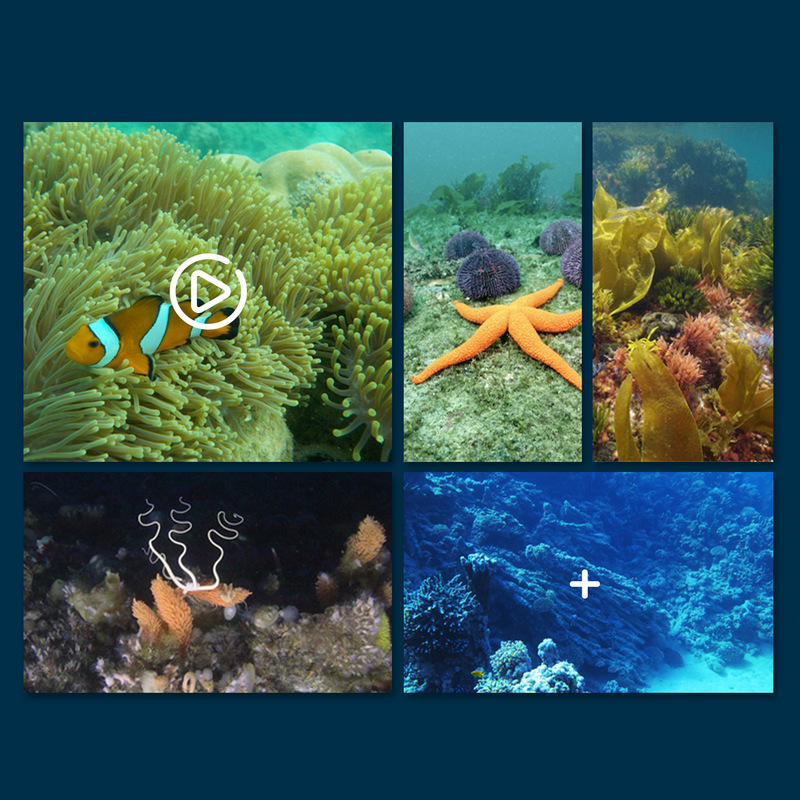 Mini Wifi Rc Underwater Camera - Rc Hobby Photos 리뷰 및 가격